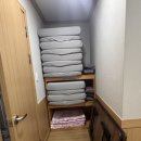 [월악산 계곡 펜션 추천] 6인 단체 여행에 딱! 월악산별장펜션 솔직 후기 🏕️