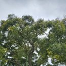 엄마랑 놀자 키즈글램핑 이미지