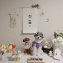 올바르개 네이버블로그