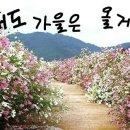 심원 이미지