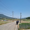 2024 부산참빛학교 남파랑길 도보순례12(5월24일) 이미지