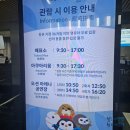 제주아쿠아플라넷 공연 할인 제주 가볼 만한 곳 추천