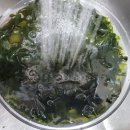 양지로2L 이미지