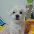 선 동물병원 이미지