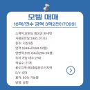 강원도개발공사 숙소 이미지