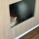 NEW째즈노래연습장 | New year's eve