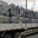 에코태양광발전소 이미지