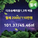 디오공인중개사사무소 이미지