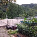 한솔1호태양광발전소 이미지