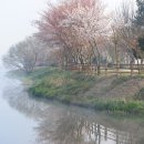 송산유원지 이미지