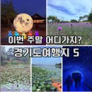 배다리수족관 | 이번 주말 어디 갈까? 경기도 여름여행지 추천 BEST 5