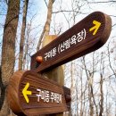 구미초교 이미지