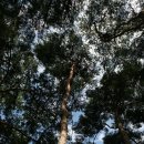 해일농장 이미지