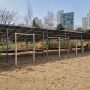 작전중학교 이미지