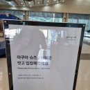 (주)키즈블루 | 평창 휘닉스파크 블루캐니언 준비물, 할인, 푸드코트, 구명조끼 총정리!! 내 돈 내산 방문 후기