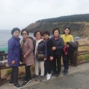 제주박 이미지