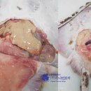 (주)동양냉장 이미지