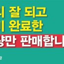 신화 모터스 이미지