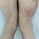 웰빙댄스 | [서울 노원구] 오하운 폴댄스학원 노원점 원데이클래스 후기