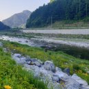 졸드루야영장 이미지