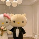 부산 웨딩홀 투어 5곳 후기🤍(팔레드시즈, 마리나컨벤션, 센텀사아이언스파크 하우스홀) 27년 1월 견적 공유