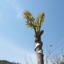 봉오리농장 이미지