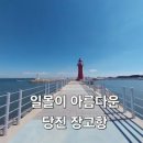대안마을 | 당진 장고항 실치축제 실치회 맛집 후기 알아보기