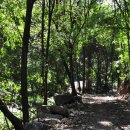 횡성자연휴양림 이미지