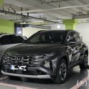 황학점현대자동차 | 더뉴투싼 (NX4) 하이브리드 7000km 주행기 feat. 블루핸즈 정기점검 및 옵션 추천.