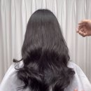 컷트에더하다