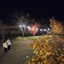 하늘빛 펜션 | 춘천여행》 춘천 만족도 최상이었던 펜션 : 하늘빛관광농원