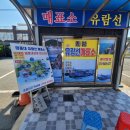 윤슬중학교 | 부산여행: 태종대 [태원유람선] 후기 / 멀미 레전드 썰