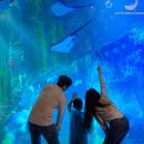 아쿠아리움 이미지