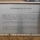 유여림선생묘 및 신도비 | ◎ 예조 판서(禮曹判書) 유여림(兪汝霖)