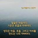 킴스 펫클리닉 이미지