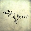 에이림