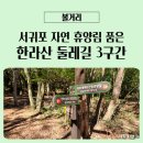 혼디오몽 | 한라산 둘레길 3구간 산림 휴양길 서귀포 자연 휴양림 품다