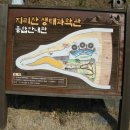 지리산 생태 과학관 이미지