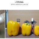 청파농장 이미지