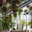 공간꽃조경 이미지