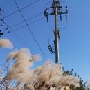 궁민1급자동차공업사 이미지