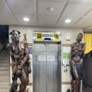 어달항 | 동해 묵호 맛집 어달항 근처 선창횟집 전복물회 내돈내산 후기