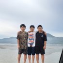 TH용인대유도체육관 네이버블로그
