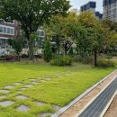부광여자고등학교 케이에스피뉴스