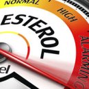 에스바디짐 이미지