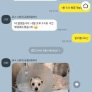 24시 스탠다드 동물의료센터 이미지