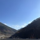 신일목장 | 평창 산너미목장 캠핑장, 낮에는 흑염소 밤에는 별이 한가득