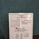 구산로 | 혼자서 훌쩍 떠난 당일치기 제주 여행/제주 동백을 담다,카페 빈투지 방문 후기