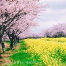 물결속으로 이미지