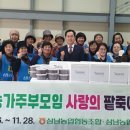 삼남 이미지